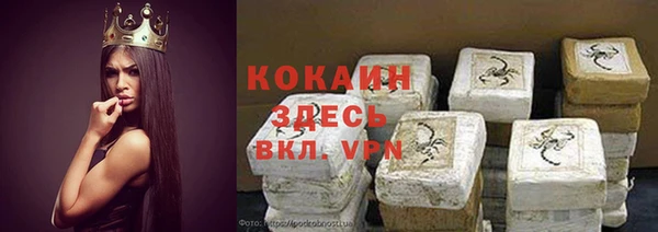 молекула духа Алзамай