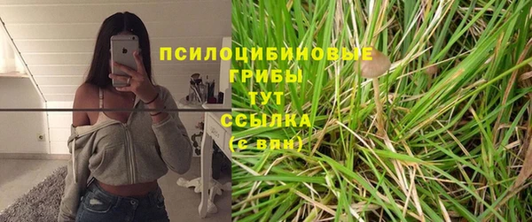 каннабис Алексеевка